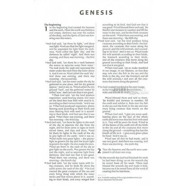 English Bible NIV - Waves