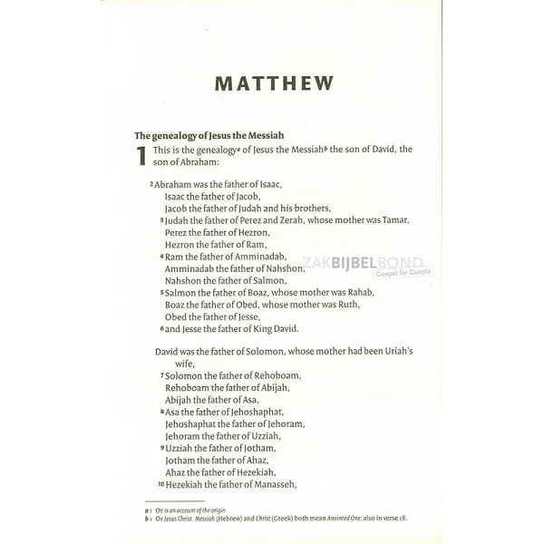 Engels Mattheüs-evangelie - NIV