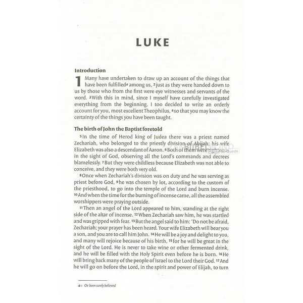 English Booklet with the Gospel according to Luke in the NIV version