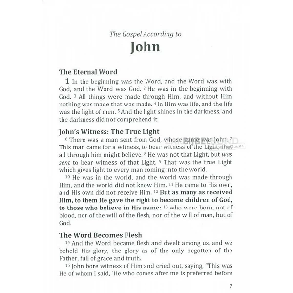 Engels Johannes-evangelie NKJV
