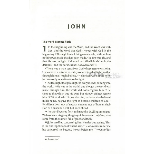 English Gospel of John NIV