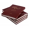 Persian New Testament NMV burgundy large