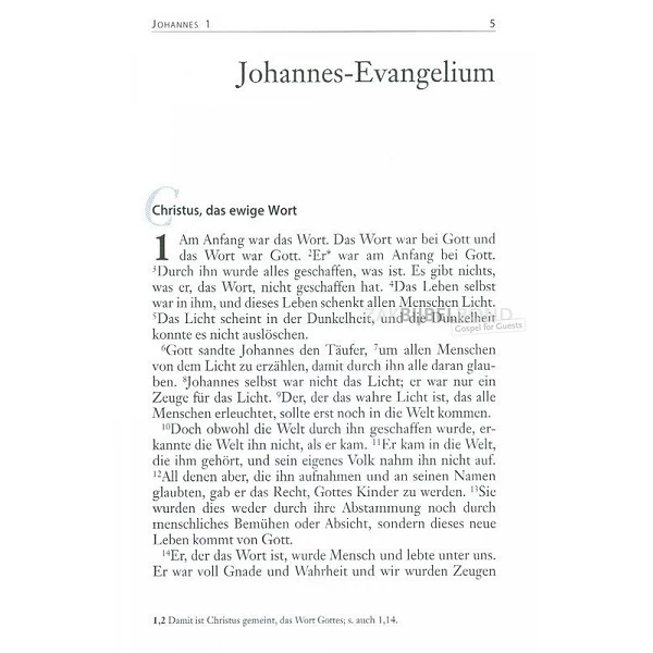 Duits, Johannes-evangelie, Neues Leben