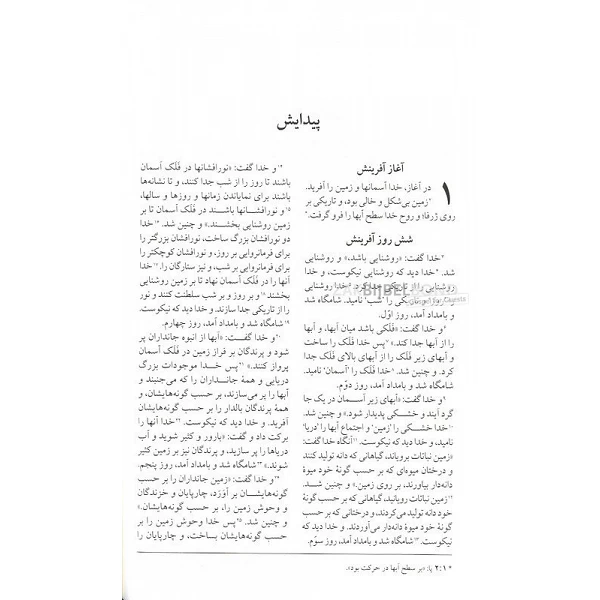Persian Bible New Millennium brown