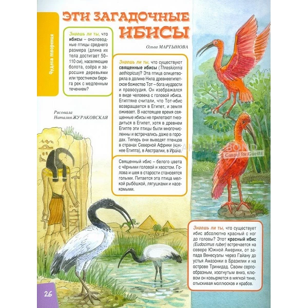 Russisch, 2-maandelijks kindermagazine, Tropinka