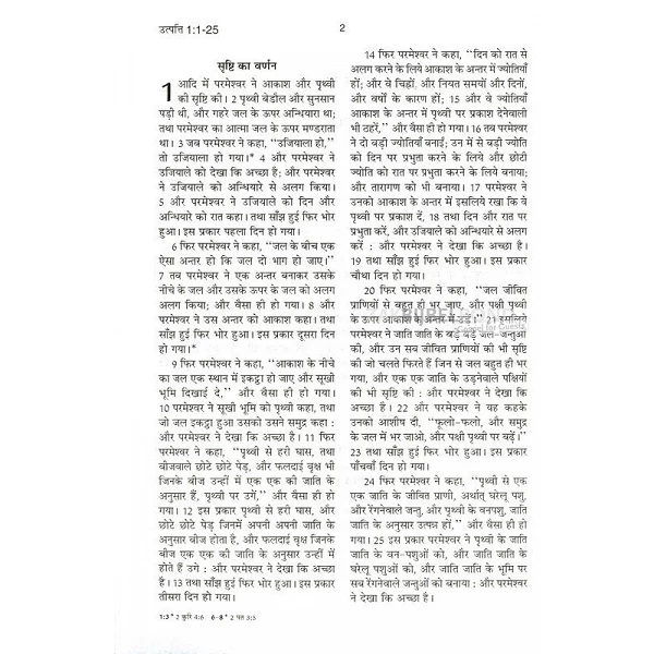 Hindi Bijbel