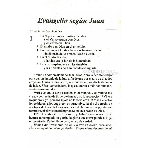 Spaans Johannes-evangelie in de Nueva Versión Internacional (NVI). Klein formaat met paperback kaft (geniet)