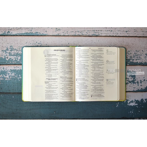 English Bible NIV - SoulSurvivor Journalling Bible