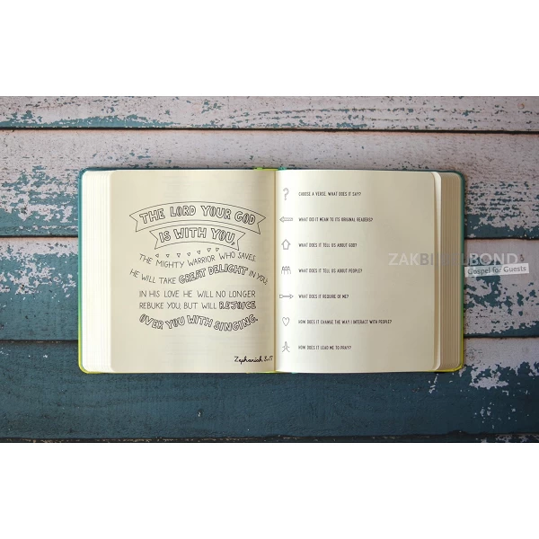 English Bible NIV - SoulSurvivor Journalling Bible