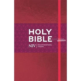 Engelse Bijbel NIV - Ruby Thinline