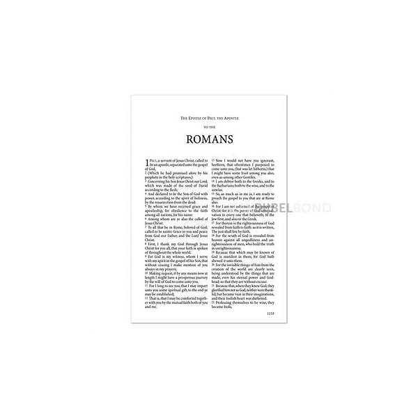 Engelse Bijbel KJV - Windsor Large Print Text Bible - Red