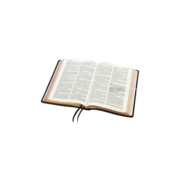 Engelse Bijbel KJV - Windsor Large Print Bible - Calfskin