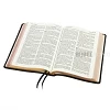 English Bible KJV - Windsor Large Print Bible - Calfskin