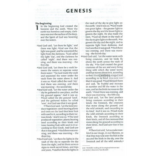 ENGLISH NIV POCKET FLUFFY PINK BIBLE