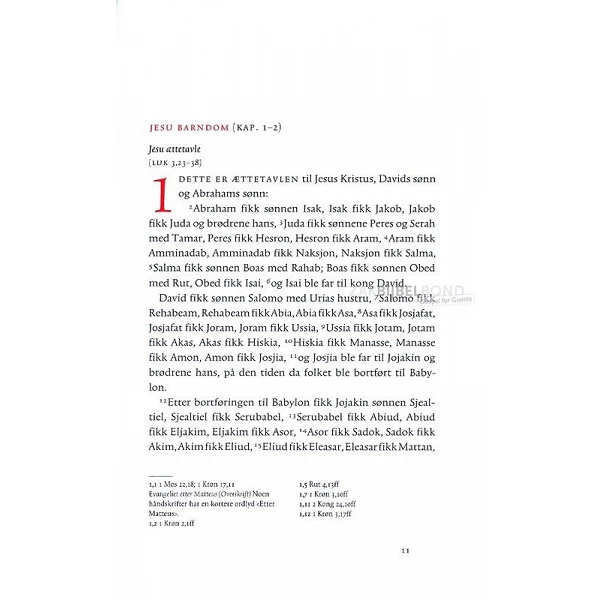 Noors Nieuw Testament, Nieuwe vertaling, paperback