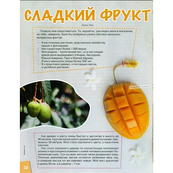 Russian children's magazine Tropinka