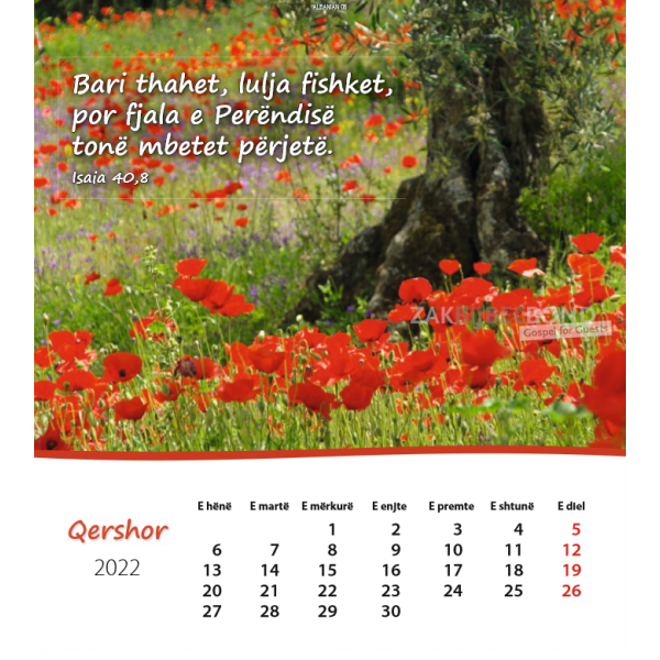 Albanese Ansichtkaartenkalender 2022