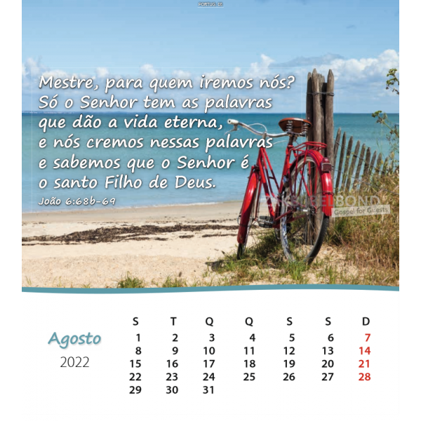 Portugese Ansichtkaartenkalender 2022