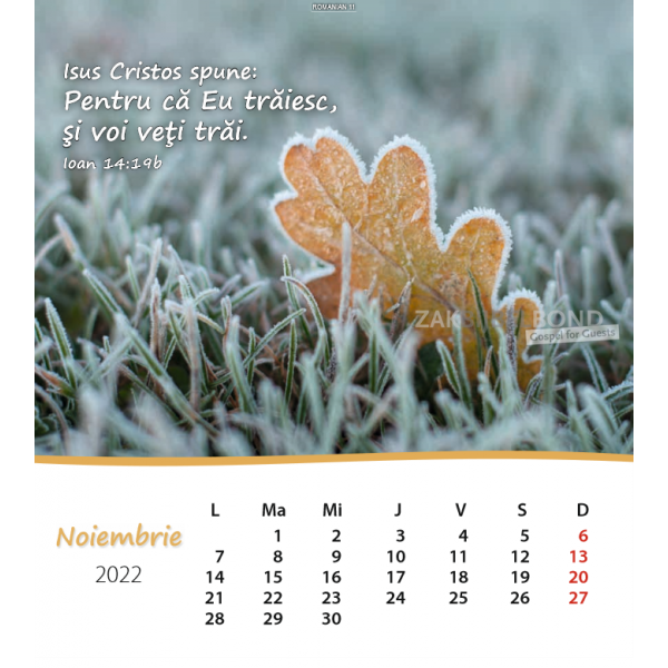 Roemeense Ansichtkaartenkalender 2022