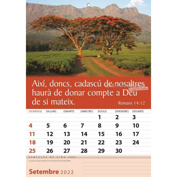 Catalaanse wandkalender 2022
