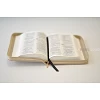 Engelse Bijbel NIV - Compact goud rits