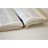 English NIV Bible - Pocket Gold Soft-tone