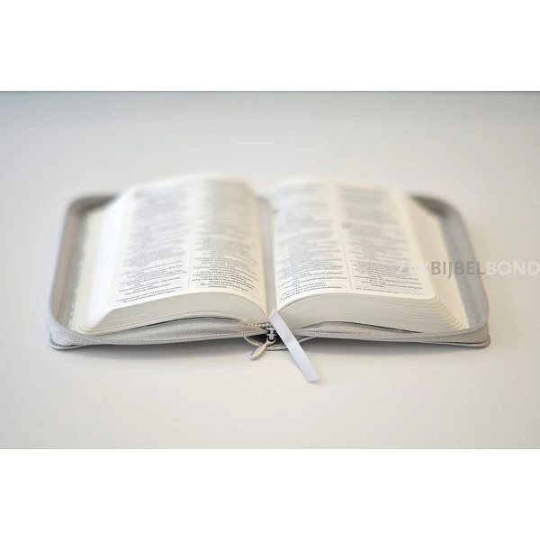 English NIV Bible - Pocket Silver Soft-tone