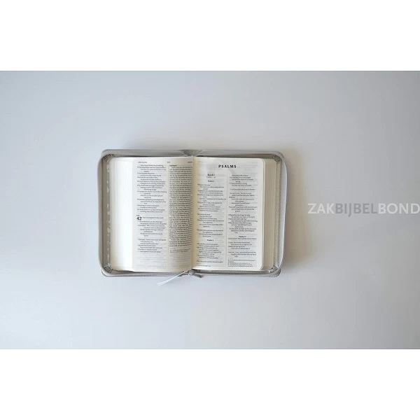 Engelse Bijbel NIV - Compact zilver rits