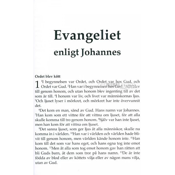 Swedish Gospel of John