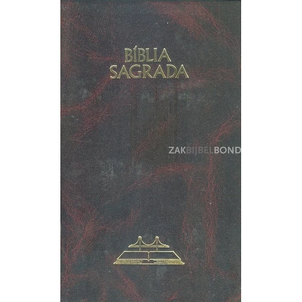 Portuguese Bible ARC large special