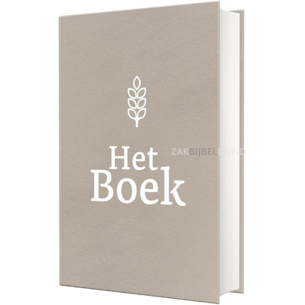 Het Boek SchoolBijbel grijs