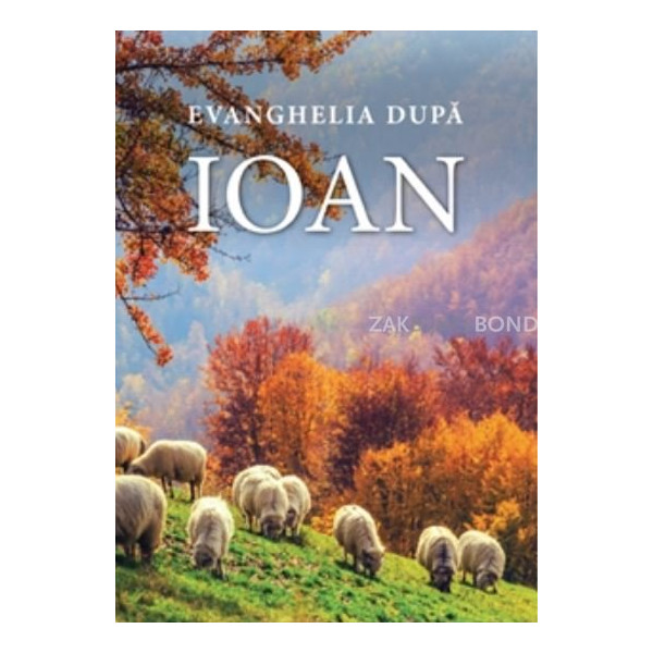 Roemeens Johannes-evangelie