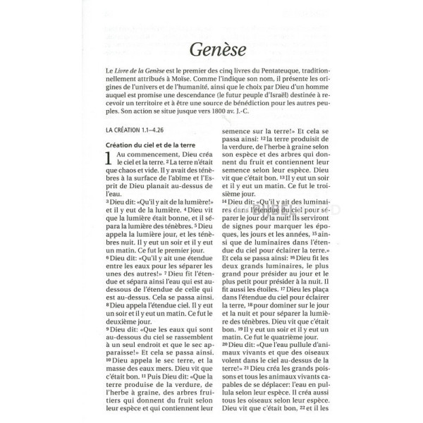 French Bible Louis Segond 21 compact hardcover blue