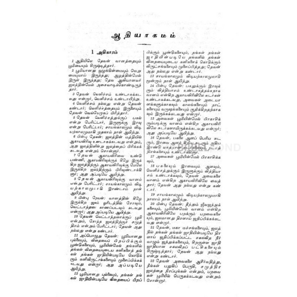 Tamil Bible hardcover