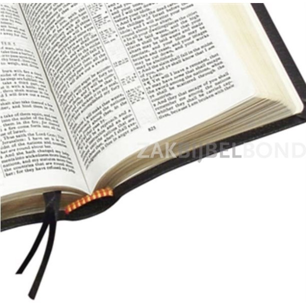 Engelse Bijbel KJV - Classic reference Bible - kalfsleer zwart