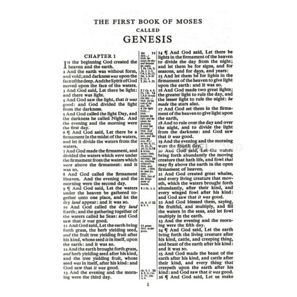 Engelse Bijbel KJV - Classic reference Bible - kalfsleer zwart