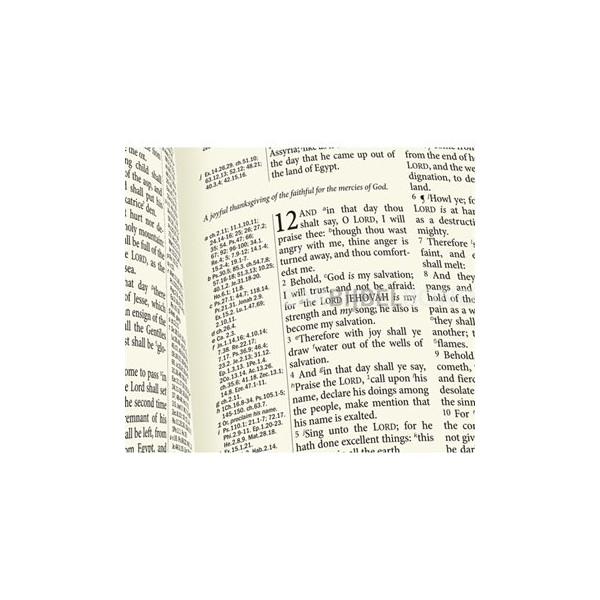 English Bible in the King James Version - Westminster Reference Bible - Blue