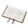 English Bible in the King James Version - Westminster Reference Bible - Calfskin leather gilded
