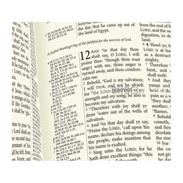 English Bible in the King James Version - Westminster Reference Bible - Calfskin leather gilded