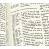 English Bible in the King James Version - Westminster Reference Bible - Calfskin leather gilded