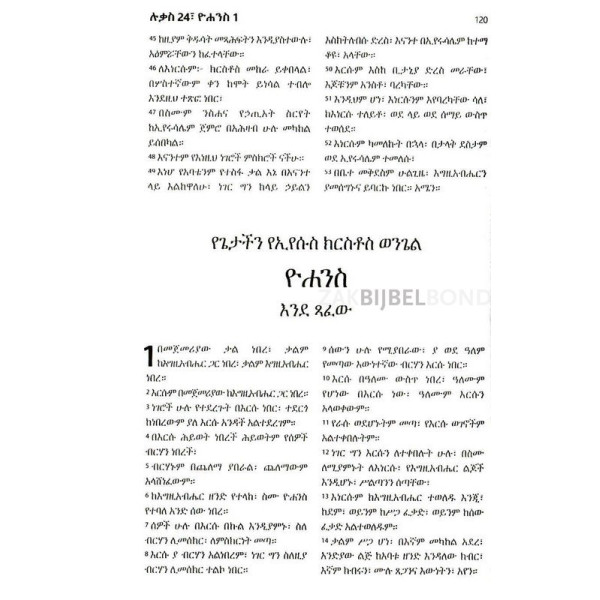 Amharic New Testament + Psalms