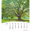 French postcard calendar 2024 - Life for you