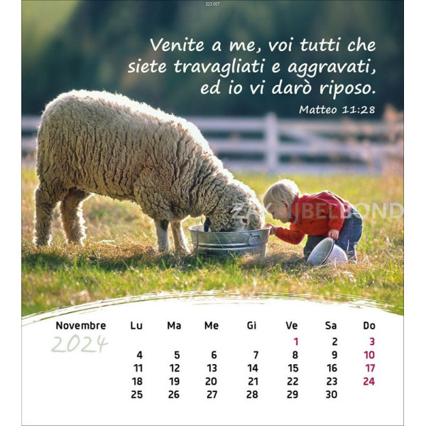 Italian postcard calendar 2024 - Life for you