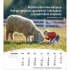 Polish postcard calendar 2024 - Life for you