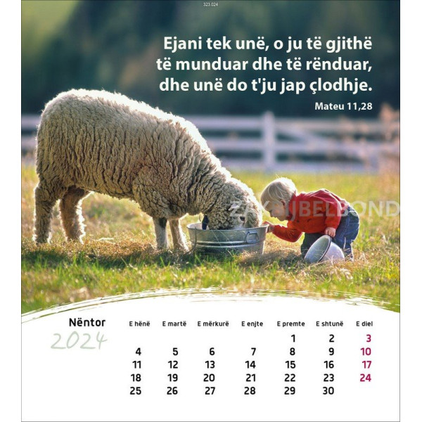 Albanese ansichtkaartenkalender 2024 - Leven voor jou