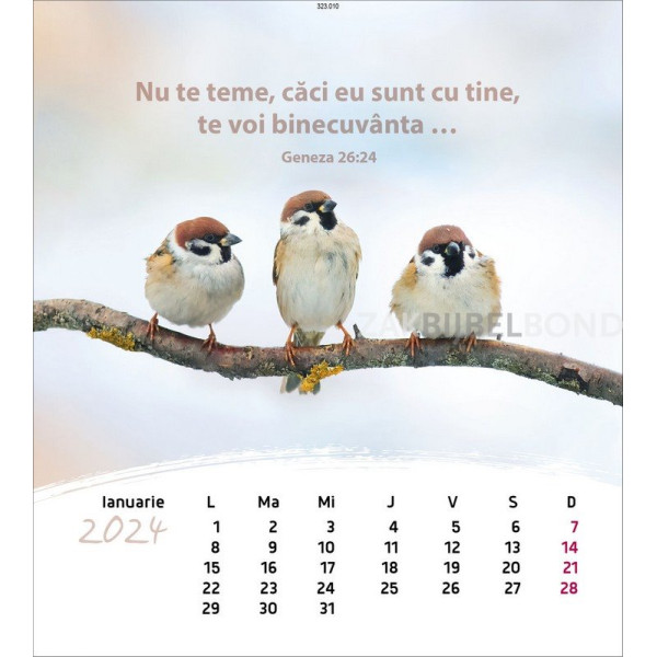 Roemeense ansichtkaartenkalender 2024 - Leven voor jou
