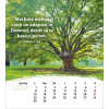 Rumanian postcard calendar 2024 - Life for you