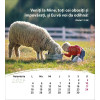 Roemeense ansichtkaartenkalender 2024 - Leven voor jou
