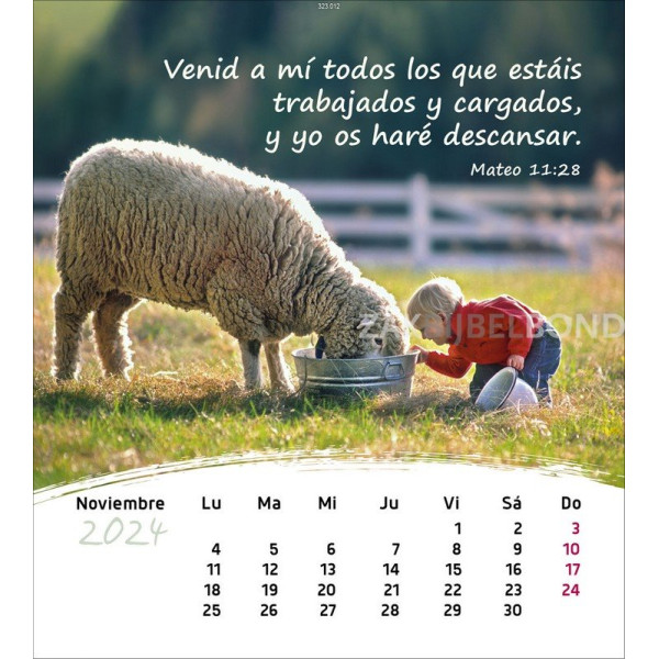 Spaanse ansichtkaartenkalender 2024 - Leven voor jou