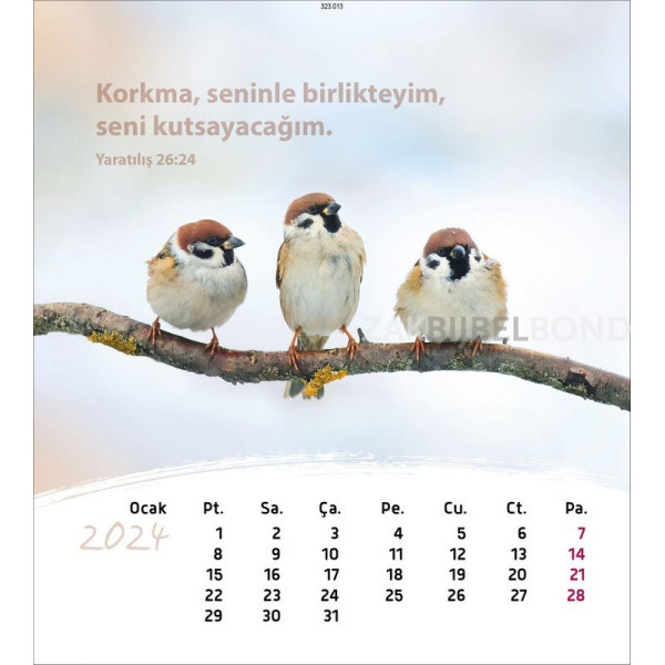 Turkse ansichtkaartenkalender 2024 - Leven voor jou